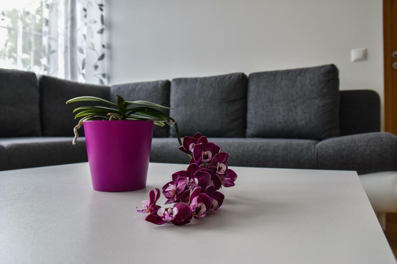 Mardi Downtown Apartment Tallinn Exterior photo
